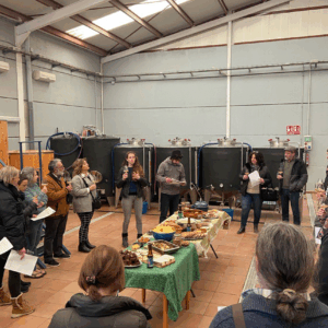 Cata de cervezas artesanas + visita