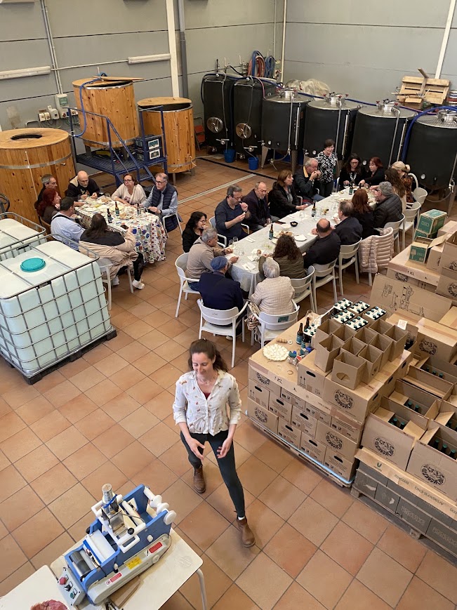 Cata de cerveza artesana en La Somniada Degustación de cervezas artesanas en La Somniada Coop.V.